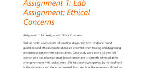 Assignment 1 Lab Assignment Ethical Concerns
