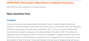 nurs 6051 discussion alterations in cellular processes nurs 6051 discussion alterations in cellular processes
