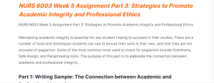 NURS 6003 Strategies to Promote Academic Integrity and Professional Ethics