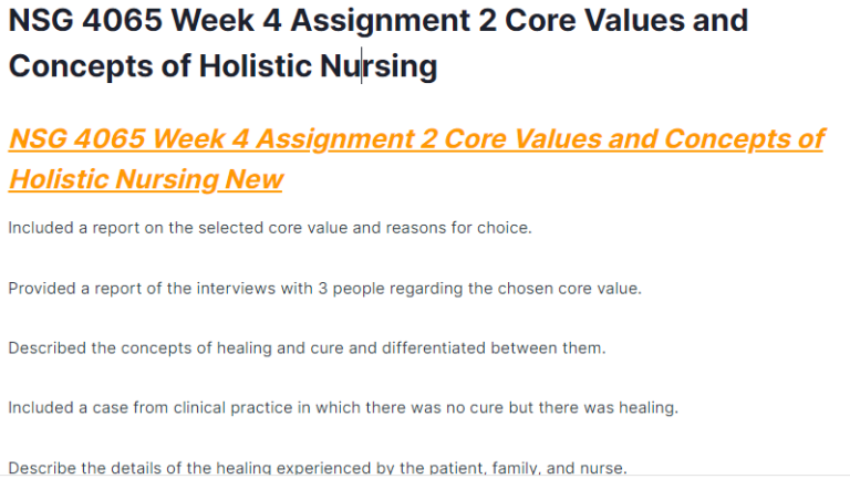 nsg 4065 week 4 assignment 2 core values and concepts of holistic nursing