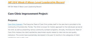 nr 504 week 6 meso level leadership recent nr 504 week 6 meso level leadership recent