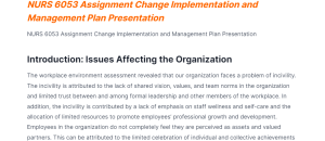 NURS 6053 Assignment Change Implementation and Management Plan Presentation