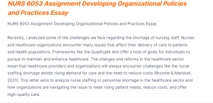 nurs 6053 assignment developing organizational policies and practices essay