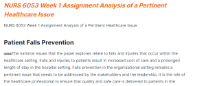 nurs 6053 week 1 assignment analysis of a pertinent healthcare issue