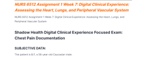 NURS 6512 Assignment 1 Week 7 Digital Clinical Experience Assessing the Heart, Lungs, and Peripheral Vascular System