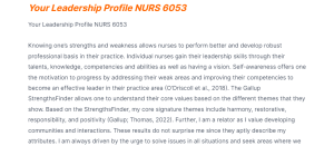 Your Leadership Profile NURS 6053